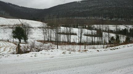 Undeveloped Land in Centre County, Pennsylvania