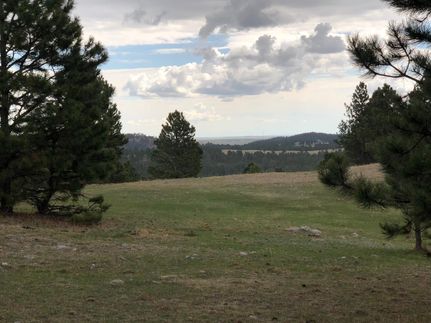 Undeveloped Land in Custer County, South Dakota