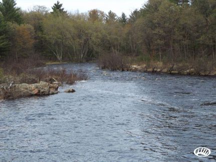 Commercial Property in Clark County, Wisconsin