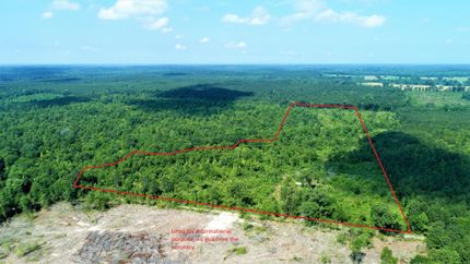 Timberland Property in Marion County, Texas