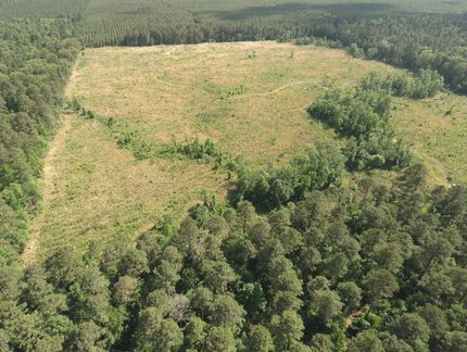 Farm and Ranch in Ashley County, Arkansas