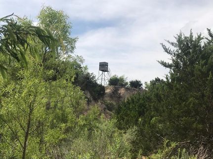 House in Nolan County, Texas