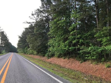 Timberland Property in Clark County, Arkansas