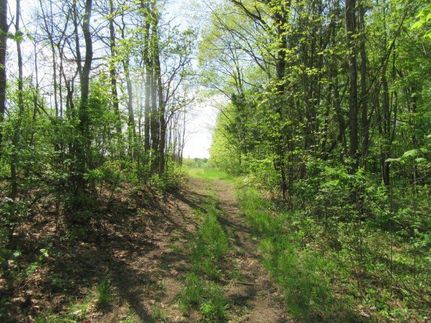 Commercial Property in Oswego County, New York