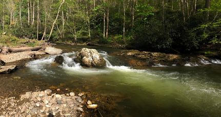 Land in Madison County, North Carolina