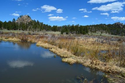 Waterfront Property in Larimer County, Colorado