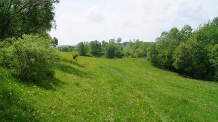 Farm and Ranch in Pepin County, Wisconsin