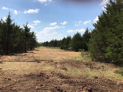 Farm and Ranch in Lamar County, Texas