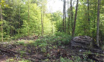 Undeveloped Land in Franklin County, New York