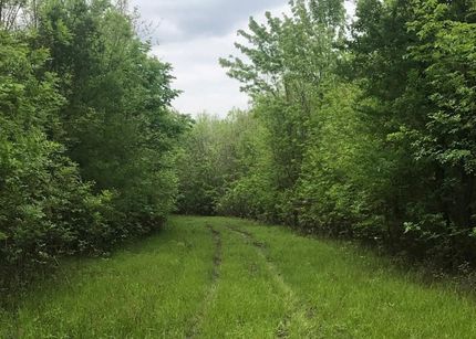 Land in Bowie County, Texas