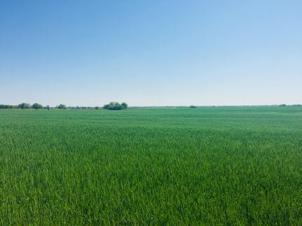 Recreational Property in Milam County, Texas