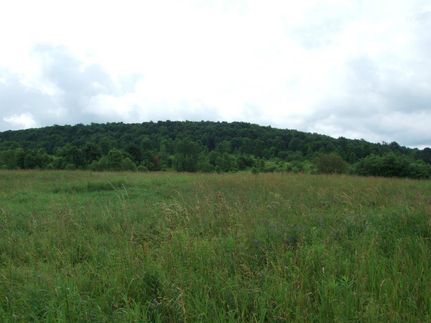 Undeveloped Land in Schuyler County, New York