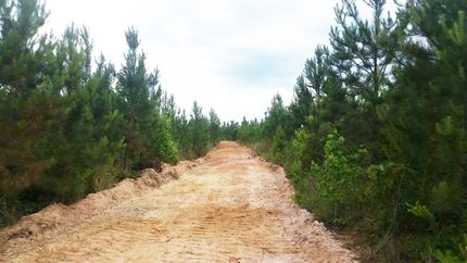 Timberland Property in Winston County, Alabama