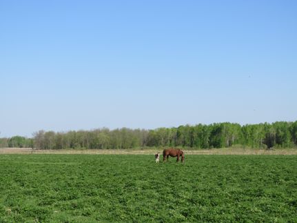 Commercial Property in Taylor County, Wisconsin