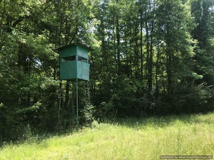 Timberland Property in Franklin County, Mississippi