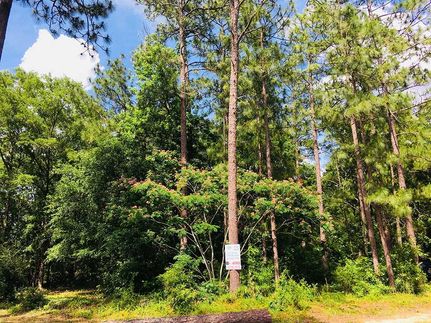 Timberland Property in George County, Mississippi