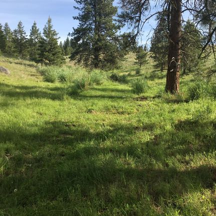 Land in Okanogan County, Washington