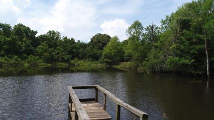 Land in Freestone County, Texas