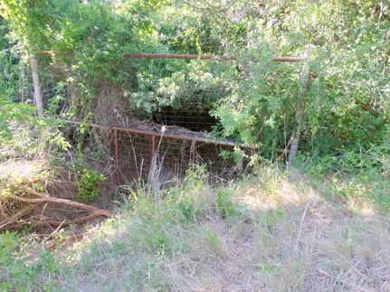 Farm and Ranch in Taylor County, Texas