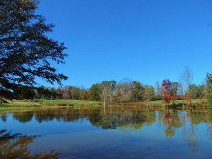 Undeveloped Land in Franklin County, Georgia