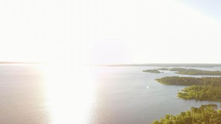 Undeveloped Land in Angelina County, Texas