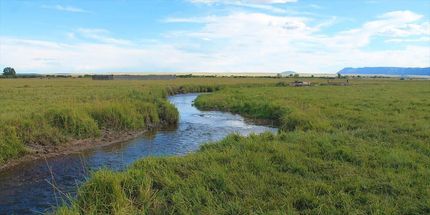 Farm and Ranch in Albany County, Wyoming