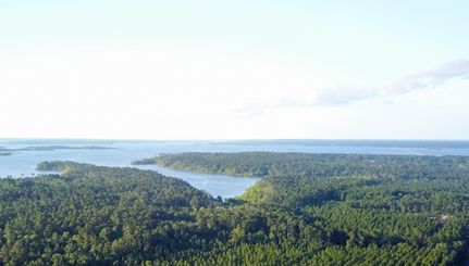Undeveloped Land in Angelina County, Texas