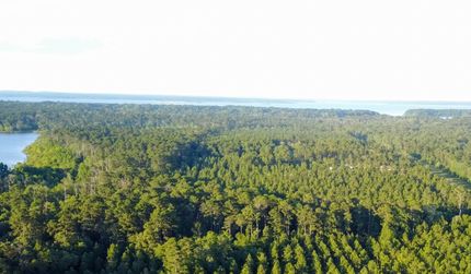 Undeveloped Land in Angelina County, Texas
