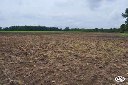 Farm and Ranch in Champaign County, Ohio