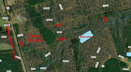 Undeveloped Land in Greensville County, Virginia