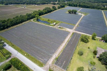 Farm and Ranch in Hillsborough County, Florida