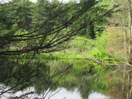 Recreational Property in Fulton County, New York