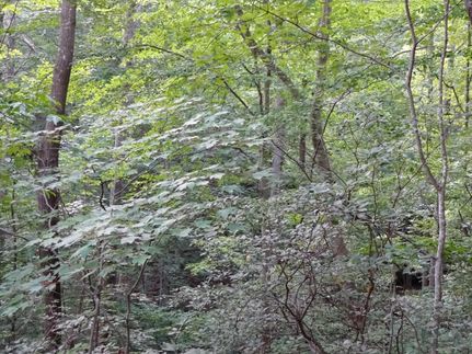 Land in Calhoun County, West Virginia