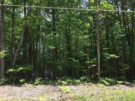 Lakefront Property in Mason County, Michigan