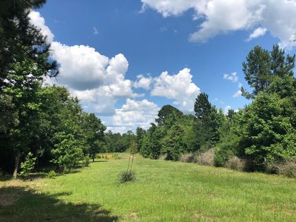 Farm and Ranch in Leon County, Texas