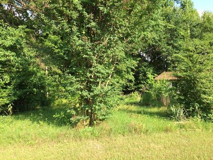 Undeveloped Land in Henderson County, Texas