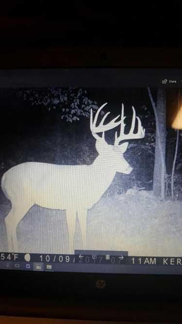 Undeveloped Land in Oregon County, Missouri