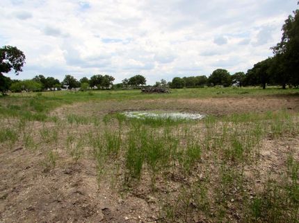 Timberland Property in Jack County, Texas