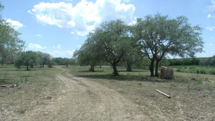 Undeveloped Land in Bee County, Texas