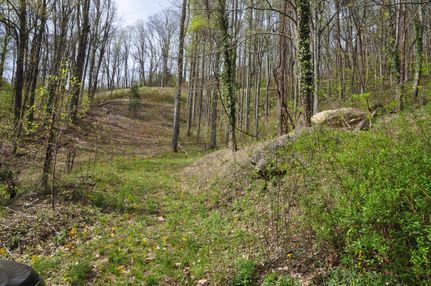 Land in Buncombe County, North Carolina