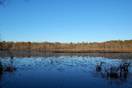 Riverfront Property in Sussex County, Virginia