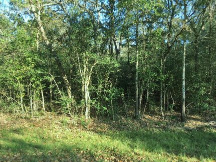 Timberland Property in Waller County, Texas