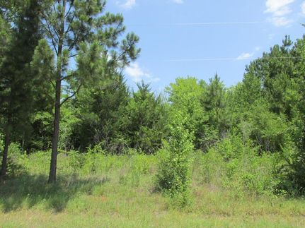 Farm and Ranch in Anderson County, Texas