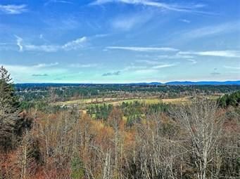 Undeveloped Land in Pierce County, Washington