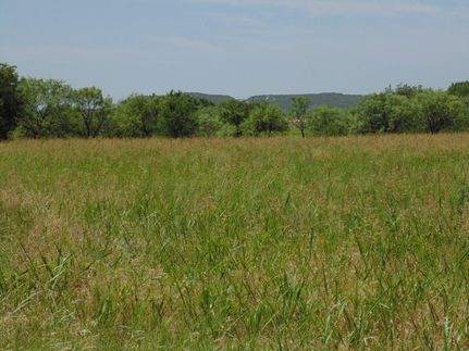 Farm and Ranch in Taylor County, Texas