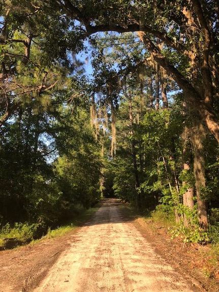 Farm and Ranch in Liberty County, Georgia