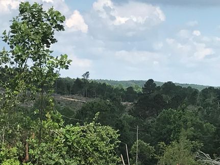 Farm and Ranch in Winston County, Alabama
