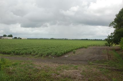 Undeveloped Land in Fort Bend County, Texas