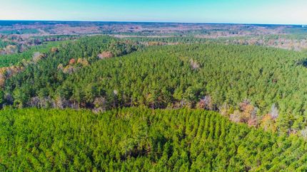 Timberland Property in Fairfield County, South Carolina