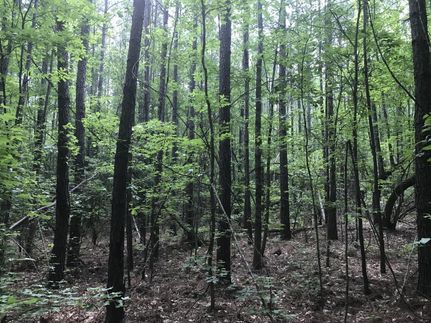 Land in Barnwell County, South Carolina